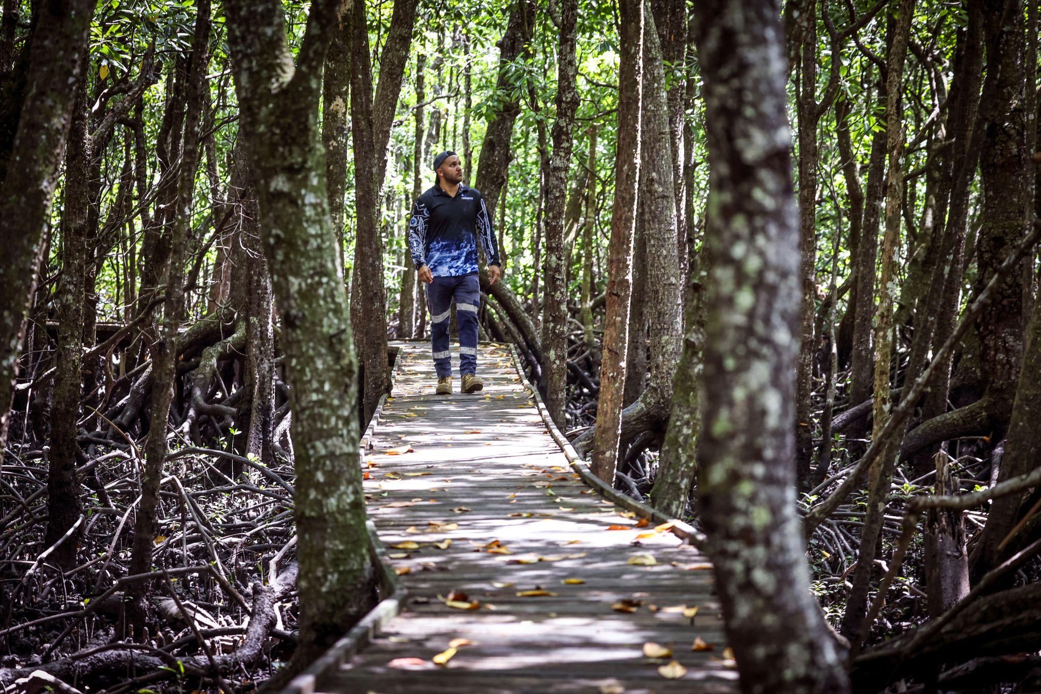 Carbon & Nature Markets β First Nations Market Review local image